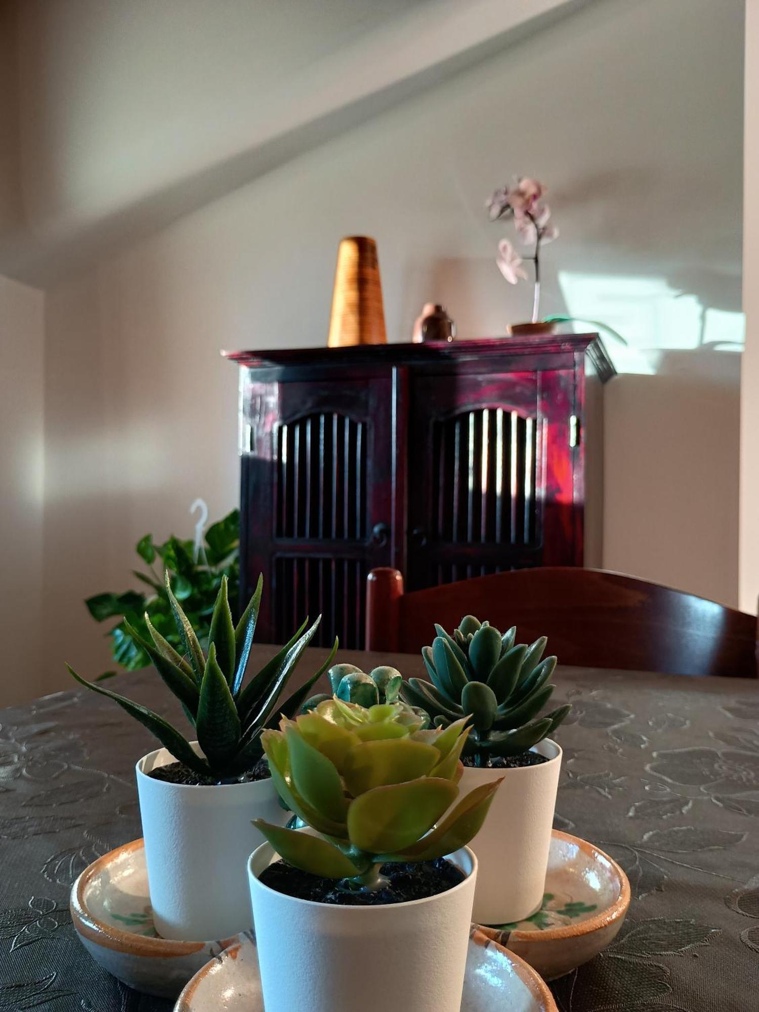 Villa Marysa Studio Apartment Giardini Naxos Εξωτερικό φωτογραφία
